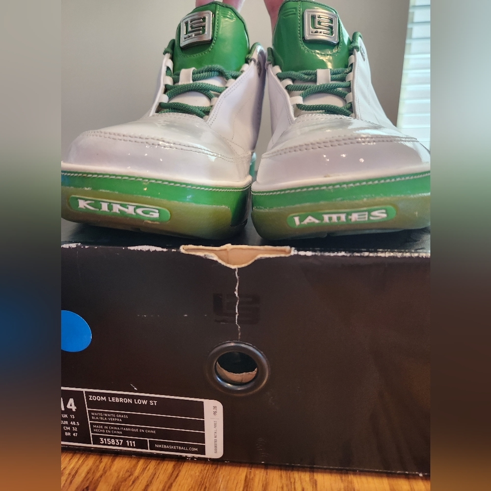 Nike zoom LeBron low st